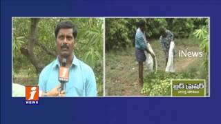 Heavy Rain Destroys Mango Farmers in Karimnagar  iNews