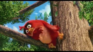 Angry Birds Movie - Character Bumper Red
