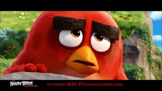 Angry Birds - Biggest Release - 30s
