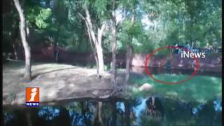 Drunk Man Jumps Into Tiger Cage In Hyderabad Nehru Zoo Park Visitors Effort To Drag iNews
