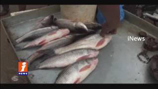 Heavy Demand For Fishs On Murga Shera Karti In Khammam | iNews