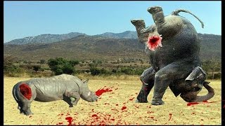 Biggest Wild Animal Fights - Rhino vs elephant  Lion, tiger crocodile - Fighting Animals