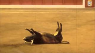 Bullfighting Deaths! A Compilation of deathly Attacks