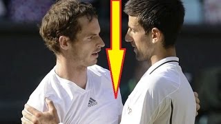 Wimbledon 2016 Andy Murray and Novak Djokovic in action on day six
