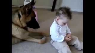Best Funny Dogs And Children Funny Videos with your kids