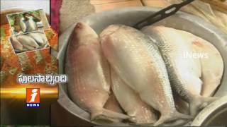 Costly fish Pulasa Enters This Season - Godavari Special - iNews
