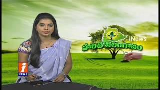 Huge Response For iNews Go Green Programme | Telangana Haritha Haram | Special Focus