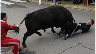 Funny videos That Will Make You Laugh FUNNY BULL FIGHTS Animal Attack Video Compilation