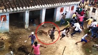 On Cam:  Gorakhpur villagers beat leopard to death
