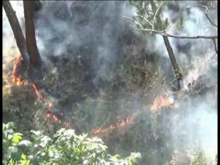 चम्बा के जंगलों में फिर लगी भयंकर आग