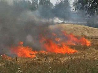 दिल्ली : इब्राहिमपुर के खेतों में लगी आग