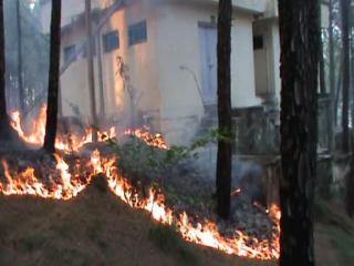 जम्मू में राजौरी के जंगलों में लगी भयंकर आग
