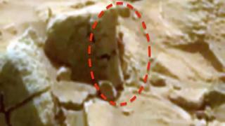 नासा की इस तस्वीर पर दावा- मंगल पर फिर दिखा इंसान जैसा एलियन