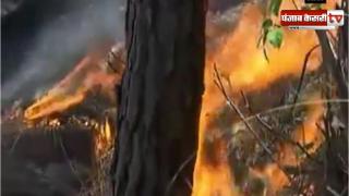 उत्तराखंड में आग से 3000 एकड़ वन क्षेत्र जलकर राख