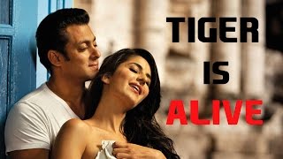 Salman Khan-Katrina Kaif In Ek Tha Tiger's Sequel 'Tiger Zinda Hai'