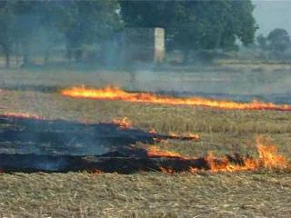 फानों में आग लगाने वाले किसानों की अब खैर नहीं