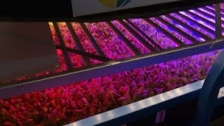 World's Largest Vertical Farm in New Jersey