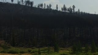 Firefighter: Teton Fire May Burn Into September
