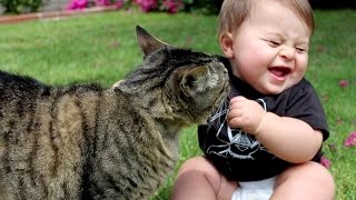 Funny cats annoying babies - Cute cat & baby compilation