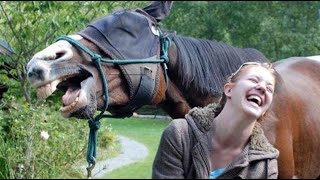 Funny Videos ,Funny Fails Compilations 2016 , Do Not Try To Laugh Challenge