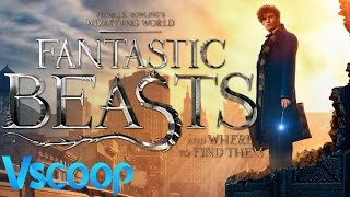 'Fantastic Beasts' To Be 5 Film Franchise #VSCOOP