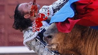 Amazing videos of Bull Fight which will Shock you