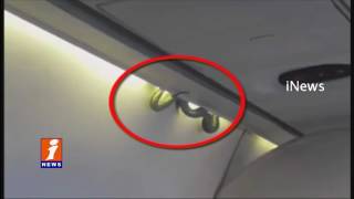 Snake Found in Plane Plane Makes Emergency Landing iNews