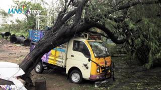 Cyclone Vardah hits Tamil Nadu coast, Andhra Pradesh