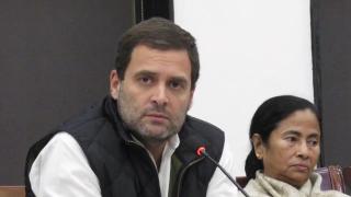 Demonetisation has failed: Rahul Gandhi