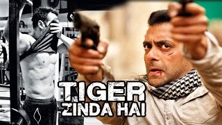 NO 6-PACK Abs For Salman Khan In Tiger Zinda Hai