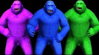 Colour Gorilla Rhymes For Children - Funny Gorilla - Children Nursery Rhymes - TSP Kids Rhymes
