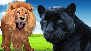 Finger Family Lion Cartoons For Children Nursery Rhymes || And Many More Rhymes Compilation | Rhymes