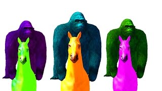 Colour Gorilla and Hourse Kids Rhymes - Gorilla Riding Horse Funny Rhymnes For Kids - TSP Kids Rhymes