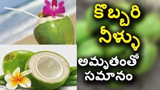 Health Benifits of Coconut Water - కొబ్బరి నీళ్లు అమృతంతో సమానం - Health Facts In Telugu
