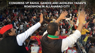 LIVE : Congress VP Rahul Gandhi and Akhilesh Yadav's Roadshow in Allahabad City