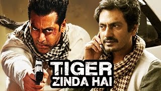 Nawazuddin Siddiqui REJECTS Salman's Tiger Zinda Hai - Reason Revealed