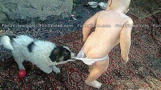 New Funny Whatsapp Videos - BEST Funny Videos 2017 - Latest Comedy Funny Videos