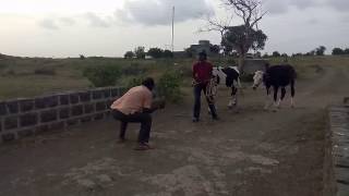 Marathi Funny Video - Interesting Videos.