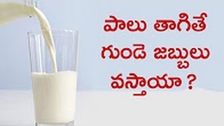 పాలు తాగితే గుండె జబ్బులు వస్తాయా ? | Can milk Cause heart disease | Natural Health & Cure