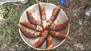 Village Style Cooking of Fish Dry Fry its only happen in village TSP Tasty Food Recipes