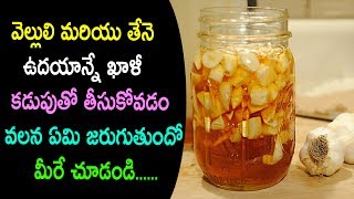Boost Your Immune System with Garlic Infused Honey|Garlic and Honey Recipe benefits