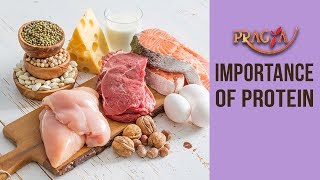 Importance Of Protein | Dr. Rachna Khanna (Dietitian)
