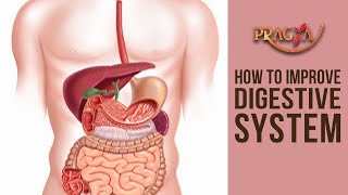 How To Improve Digestive System | Dr. Vibha Sharma