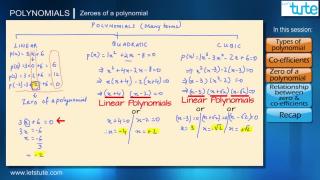 Types and Zeroes of Polynomials | Letstute