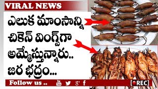 Shocking Facts : 300,000 Pounds Worth Of Rat Meat Sold As Chicken Wings | RECTVINDIA