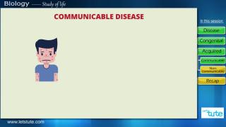 Human Health and Disease | Letstute
