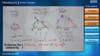 Similar Triangles | Letstute