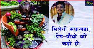 Vastu tips for Plants and Tree in Hindi. मिलेगी सफलता, पेड-पौधो की जडो से।