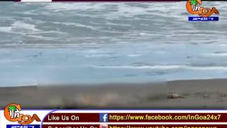 UNKNOWN DECOMPOSED BODY FOUND AT KERI BEACH