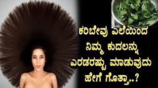 ಕರಿಬೇವು ಎಲೆಯಿಂದ ನಿಮ್ಮ ಕೂದಲನ್ನು ಸಂರಕ್ಷಣೆ | Hair benefits curry leaves | Top Kannada TV